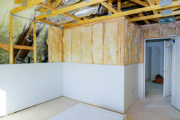 Best Insulation Maintenance and Repair in Bellefontaine Neighbors, MO